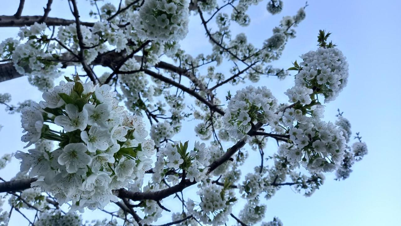شقة Baleni Sisian المظهر الخارجي الصورة