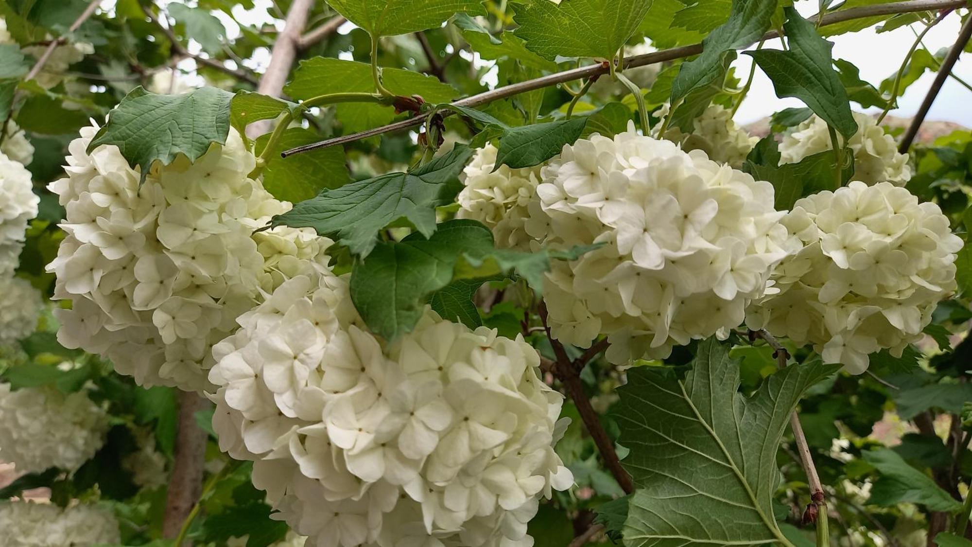 شقة Baleni Sisian المظهر الخارجي الصورة